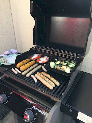 Webergrill