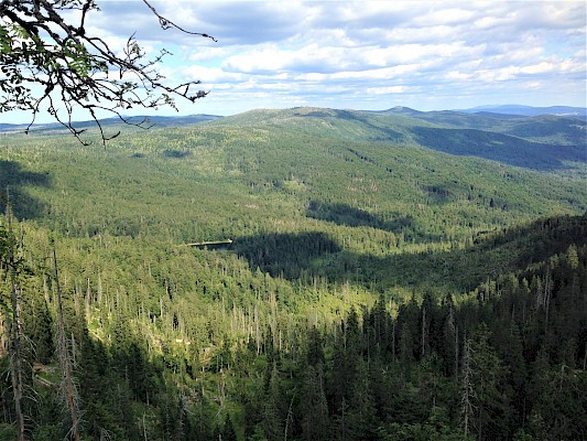 Nationalpark Bayerischer Wald