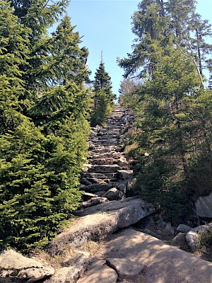 Himmelsleiter Lusen Nationalpark Bayerischer Wald