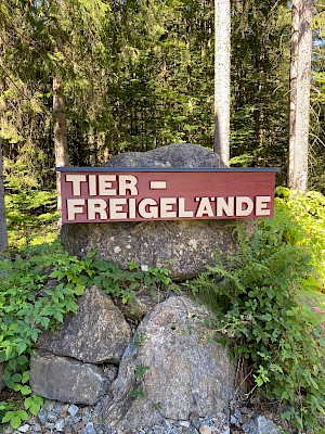 Tiergehege Nationalpark Bayerischer Wald
