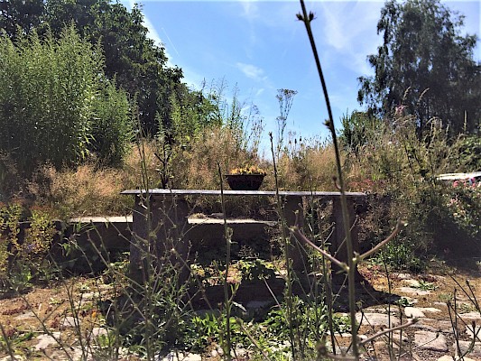 Ruheplatz im Kräutergarten