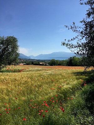Gardasee mit Kindern