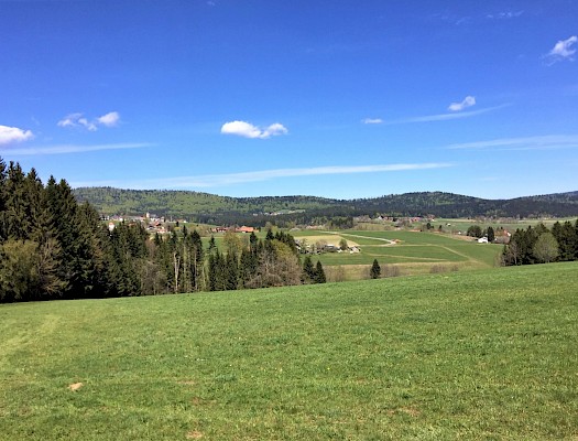 Bierhütte Bayerischer Wald