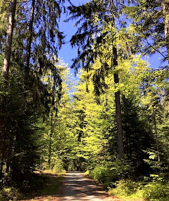 Bierhütte Bayerischer Wald