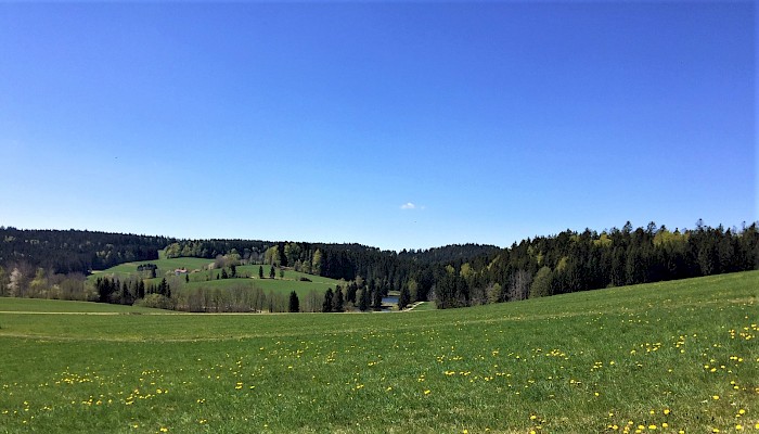 Bierhütte Bayerischer Wald