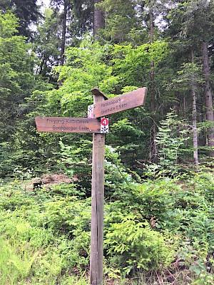 Buchberger Leite von Bierhütte aus