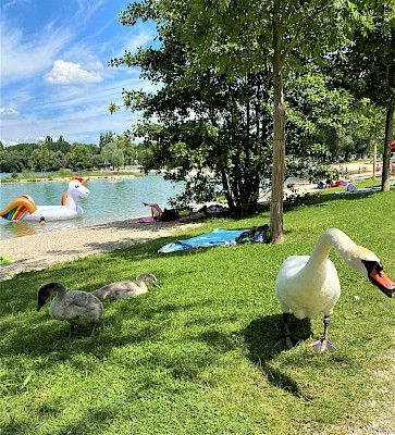 Kronthaler Weiher Erding