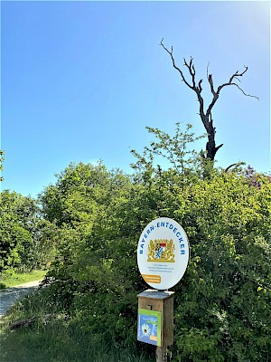 Mallertshofer Holz mit Heide