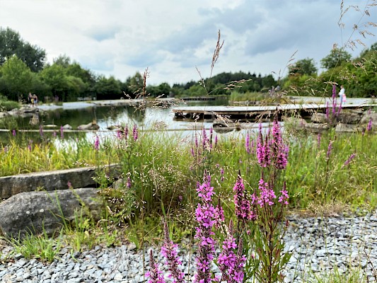 Feng Shui Kurpark Lalling