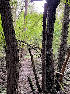 Balasai Park Naturstufen