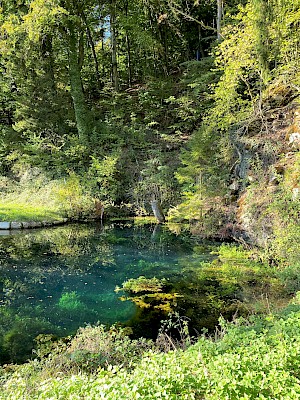 Blautopf Essing am Waldrand