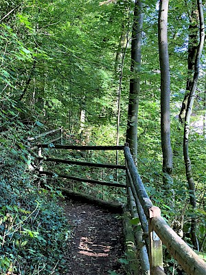 Waldweg zum Blautopf Essing