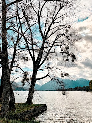 Bad Wiessee