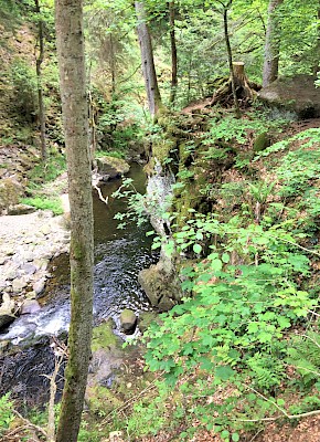 Buchberger Leite steile Felswände