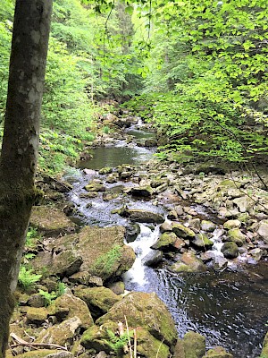 Buchberger Leite Start Bierhuette