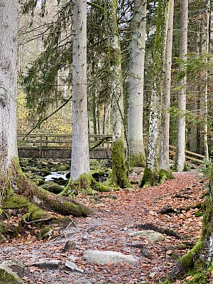 Saussbachklamm Bruecke