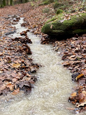 Saussbachklamm kleiner Bach