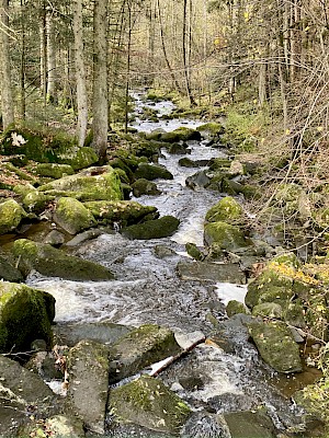 Saussbachklamm Waldkirchen