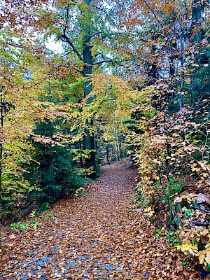 Gartenschaurundweg Waldkirchen