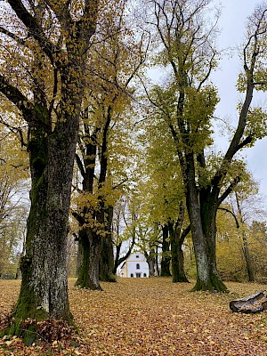 Gartenschaurundweg Waldkirchen Karoli
