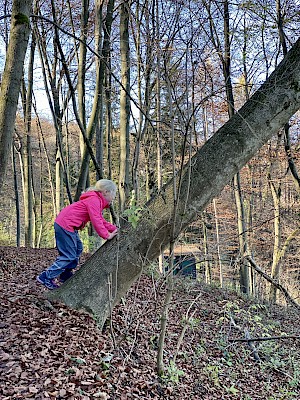 Burgwald Lehrpfad Diessen Waldspielplatz