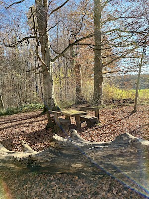 Burgwald Lehrpfad Diessen Rastbänke