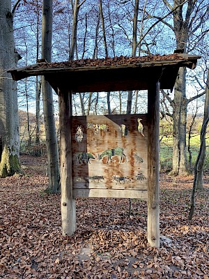 Burgwald Lehrpfad Diessen Tiersuche