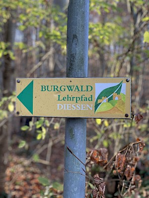 Burgwald Lehrpfad Diessen Wegweiser