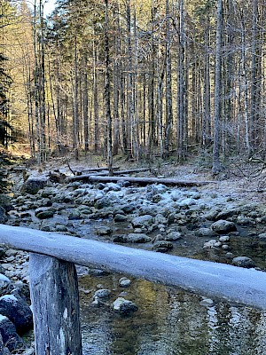 Wanderung Schwarzentenn Alm Schwarzenbach
