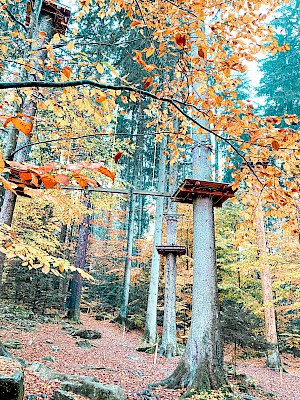 Kletterwald Waldkirchen
