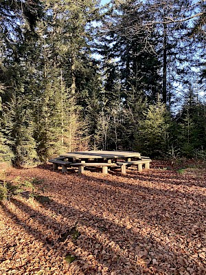 Sonnenwald Erlebnisweg Schöfweg