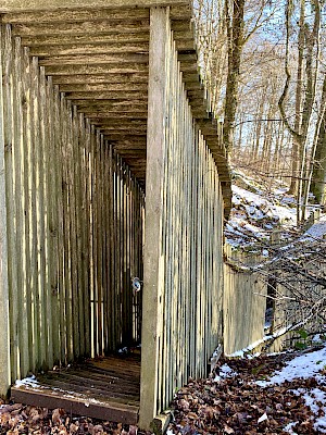 Licht und Schatten, Zauberwald Waldkirchen
