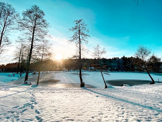 Hohenauer Weiher