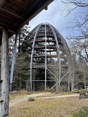 Baumei Nationalpark Bayerischer Wald