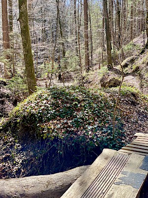 Höllgraben Starnberger See Natur