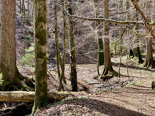 Höllgraben Starnberger See