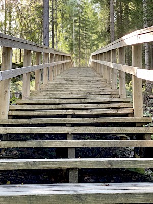 Roadtrip durch Finnland im Sommer - Längste Outdoor-Treppe