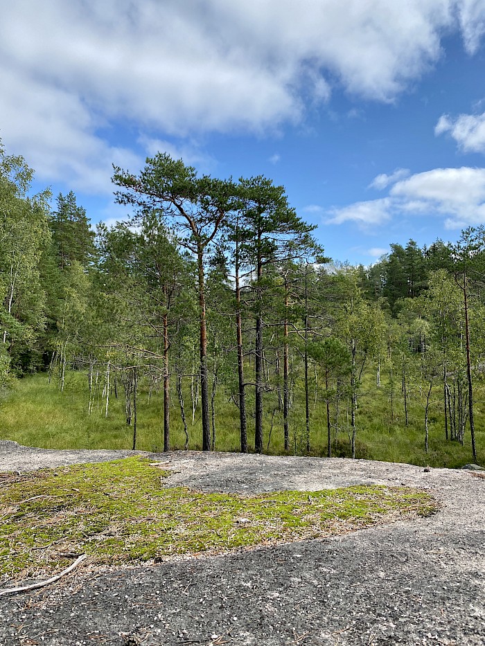 Roadtrip im Sommer durch Finnland - Nuuksio Nationalpark
