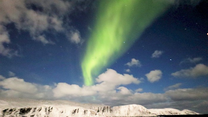 Polarlichter Norwegen Hurtigruten