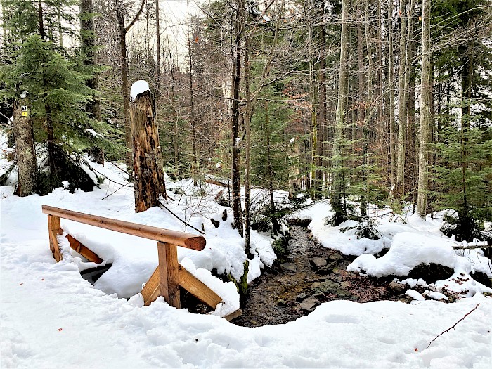 Seebach Rundweg Flusskrebs