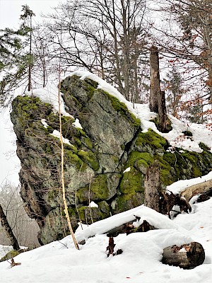 Ochsenriegel Rundweg Flusskrebs