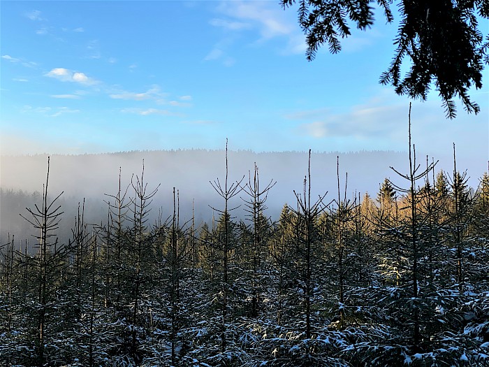 Nebel Altreichenau Duschlberg