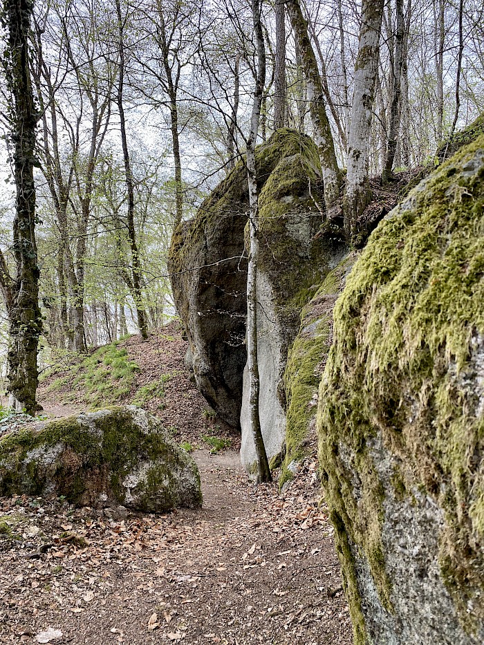 Burgrundweg Ranfels