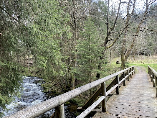 Bärenpfad Grafenau, wandern