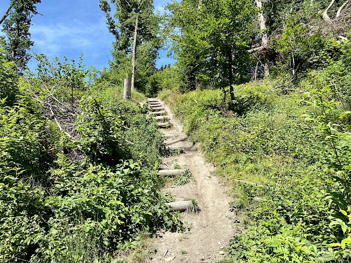 Ilztalwanderweg zur Mausmühle