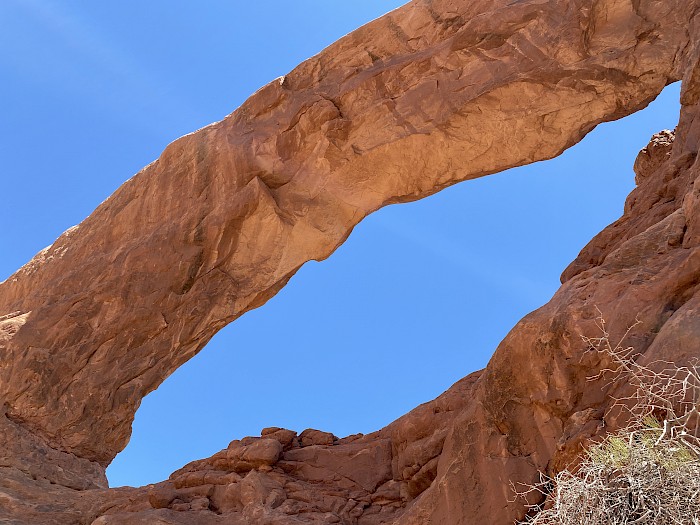 Arches NP Window