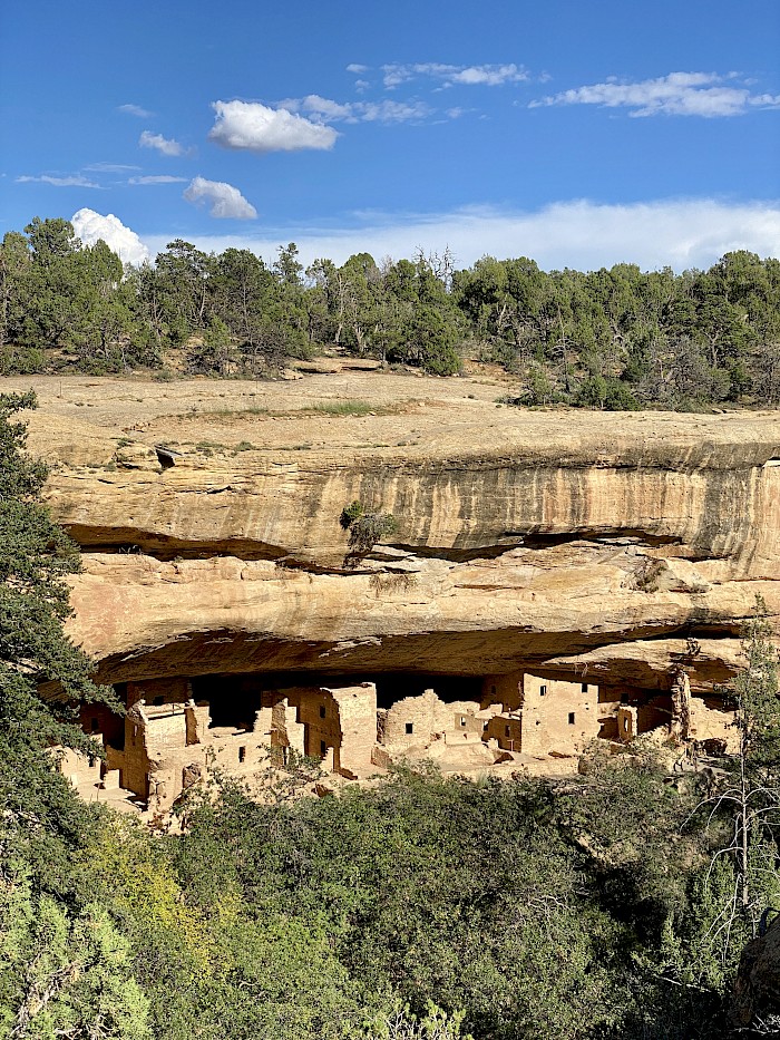 Mesa Verde NP Arches Yellowstone Road Trip