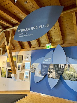 Waldgeschichtliches Museum St. Oswald Mensch und Wald
