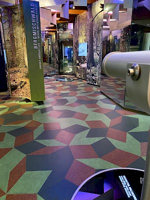 Waldgeschichtliches Museum St. Oswald Teleskop