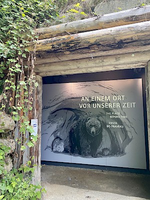Steinzeithöhle